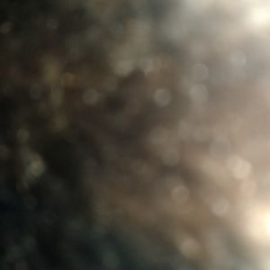 Meet your Posher, Ronny